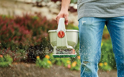 A person in a grey shirt and blue jeans carries a cream-colored handheld fertilizer spreader. The fertilizer spreader has an orange dial and sprays out white fertilizer.