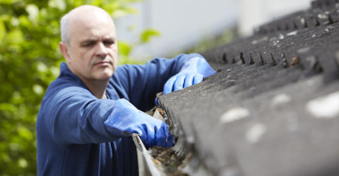 Clean out your gutters