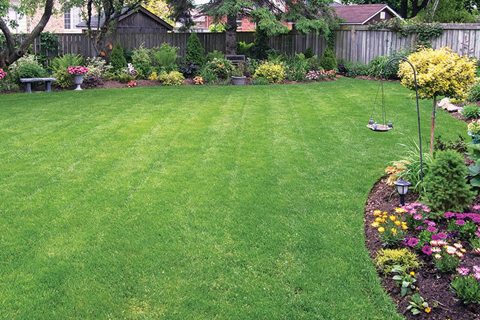 A bright green lawn is shown with curved flower beds and a fence around the edge. The manicured garden has pink, white, and green flowers and shrubs