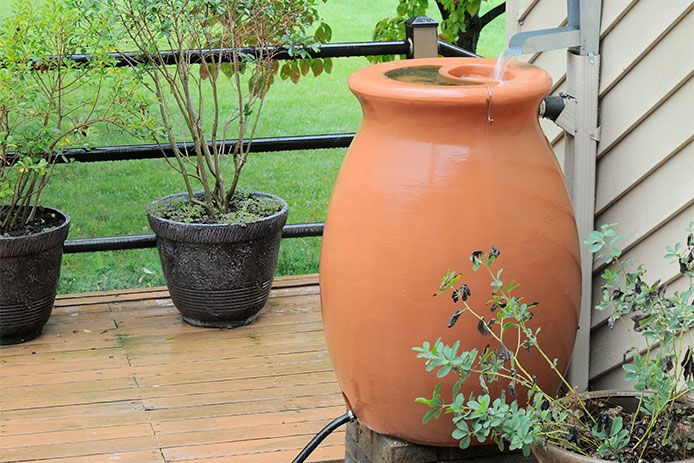 A tan plastic rain barrel sits on a concrete platform next to a green plant. A white downspout runs from the off white wall of a house and into the top of the rain barrel.