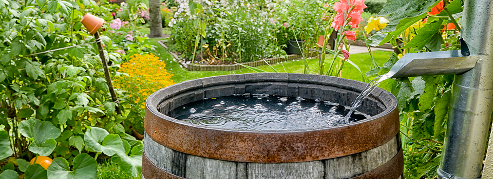 How to Choose a Rain Barrel