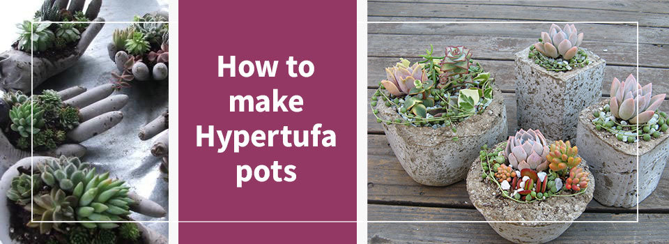 How to Make Hypertufa Pots